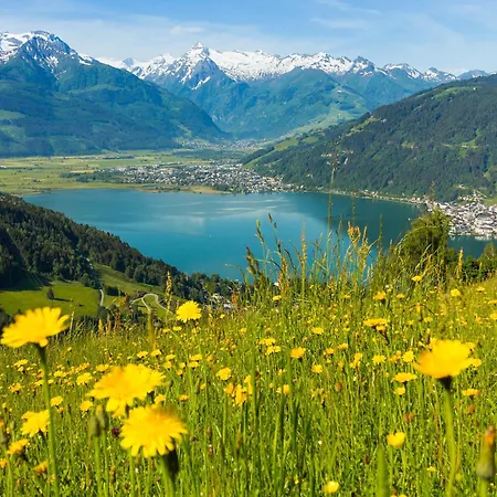 Апартаменты Peter-adler *